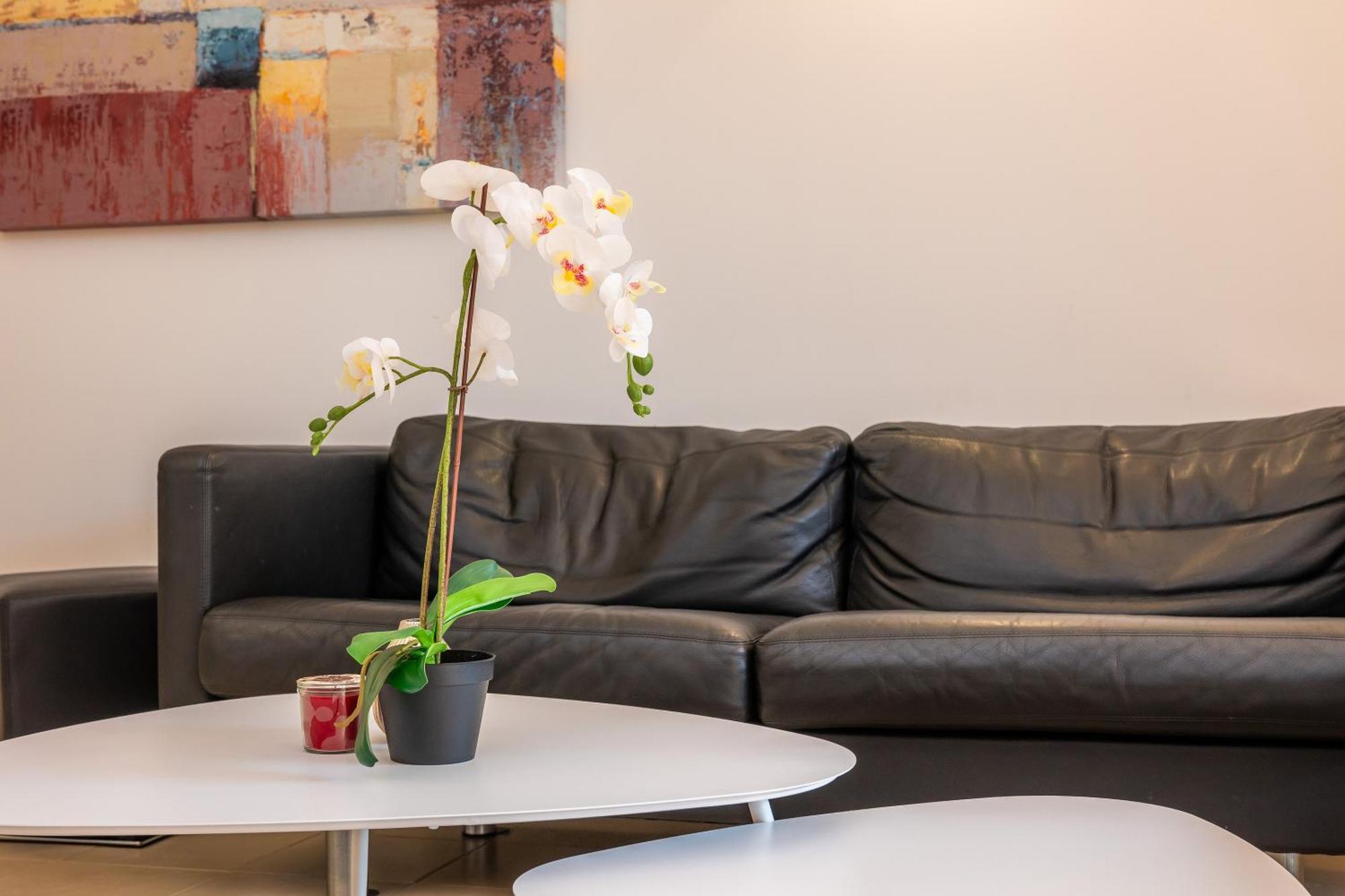Apartamento Casa Mz *
